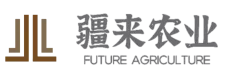 疆来资讯